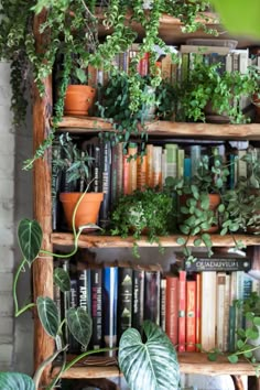 a book shelf filled with lots of books and plants