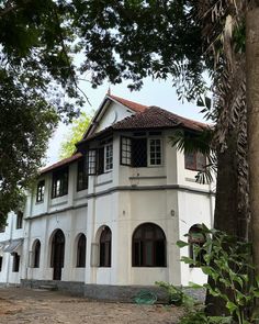 a large white building with lots of windows next to a tree