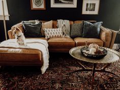 a dog sitting on top of a couch in a living room next to a coffee table