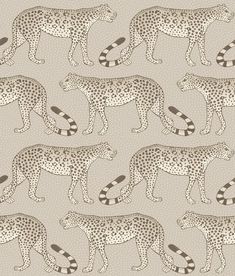 an image of a group of cheetah on a grey background with brown spots