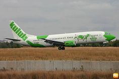 a green and white plane is on the runway in front of some tall brown grass