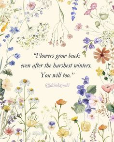 flowers grow back even after the harshest winters you will too quote by @ brinkeymi