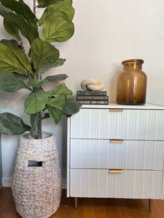 a potted plant sitting on top of a wooden table next to a white dresser