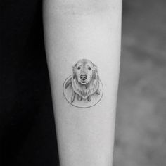 a black and white photo of a dog on the left arm with a circle around it