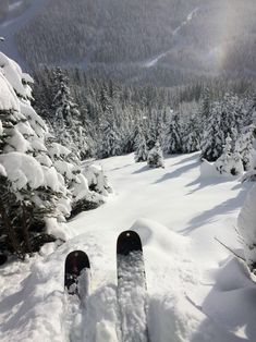 there is a pair of skis that are in the snow near trees and mountains