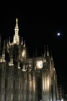 the large cathedral is lit up at night