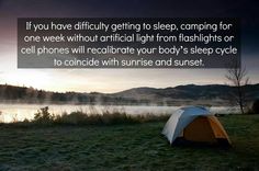 a tent sitting on top of a lush green field next to a lake with mountains in the background