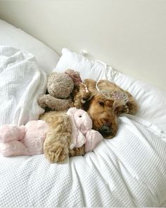 a brown dog laying on top of a bed next to two stuffed animals and a teddy bear