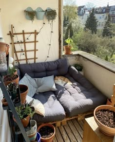 a couch sitting on top of a wooden floor next to potted plants