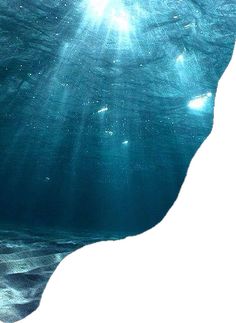 an underwater view of the ocean with sunlight coming through the water