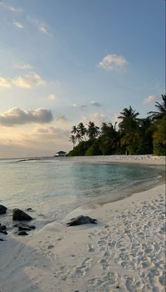 the beach is covered in white sand and palm trees