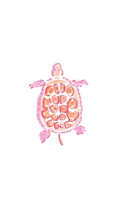 a drawing of a turtle made out of candy