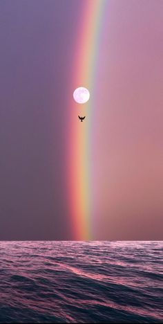 a bird flying over the ocean under a rainbow