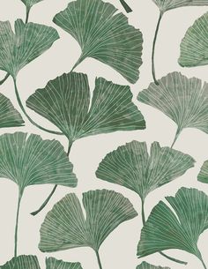 Designed by Sydney Francolino from SydMayme, these ginkgo leaves were originally painted with watercolors. Sydney is inspired by the thought that living things are successful products of all those who came before us. In her collection, you can find cheerful, organic shapes and colors - all a tribute to biophilic design. Gingko Leaf Wallpaper, Gingko Leaves, Global Textiles, Room Visualizer, Ginkgo Leaves, Green Texture, Design Palette, Biophilic Design, How To Install Wallpaper