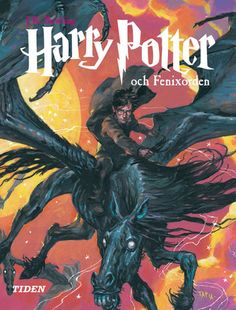 the cover to harry potter and hermion's book, by j k rowley