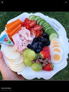 a white plate topped with fruit and veggies on top of a grass covered field