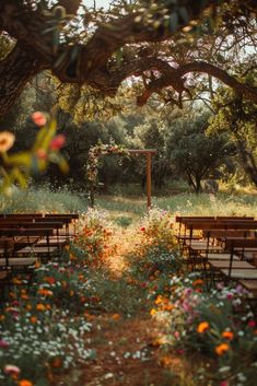 an outdoor ceremony setup with wooden benches and flowers in the foreground, surrounded by trees