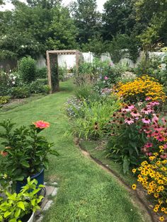 a garden filled with lots of different types of flowers