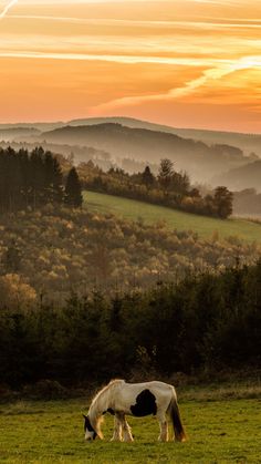 two horses graze in a field as the sun sets over hills and valleys behind them