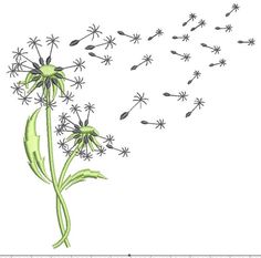 a drawing of a dandelion blowing in the wind with seeds coming from it