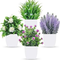 three white vases with different types of plants in them on a white background, one has purple flowers and the other has green leaves