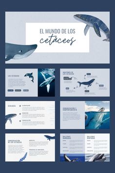 Presentación escolar sobre el mundo de los cetáceos color azul Canva Free Templates Presentation, Blue Presentation Design, Free Elements Canva, Presentation For School, Canva Presentation Ideas, Habbo Hotel, Free Business Logo, School Book Covers