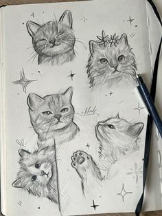 an open notebook with drawings of cats and stars on the pages, including one cat's head