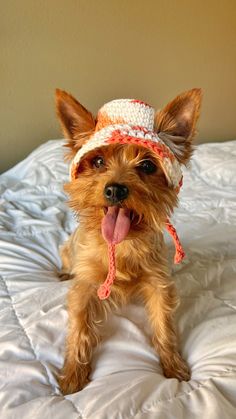 a small dog wearing a hat on top of a bed