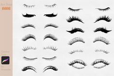 an image of various lashes and eyelashes for use in the webpage or appliance