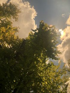 the sun shines through the clouds above some green leaves and trees on a sunny day