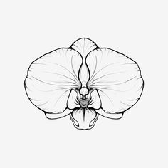 a black and white drawing of a flower