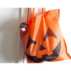 a small dog peeking out from behind a large orange bag with a jack - o'- lantern face on it