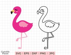 a pink flamingo standing next to a black and white outline