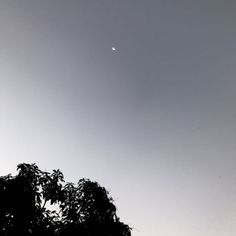 an airplane flying in the sky above some trees and bushes, with a half moon behind it