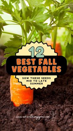 12 Best Fall Vegetables Best Vegetables, Fall Gardening, Fall Planting, Garden Plots, Fall Vegetables, Backyard Gardening, Victory Garden, Outdoor Paradise, Thriving Garden