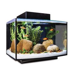 an aquarium with rocks and plants in it