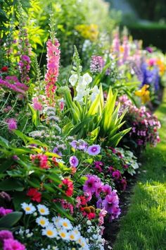 many different colored flowers are growing in the grass