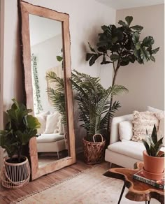 the instagram page for instagram com shows an image of a living room with plants and