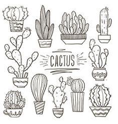 hand drawn cacti in pots with the words cactus written on them and other plants