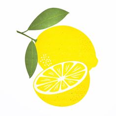 a drawing of a lemon with leaves on it