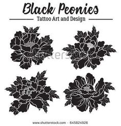 black peonies tattoo art and design on white background, with the text ` s name