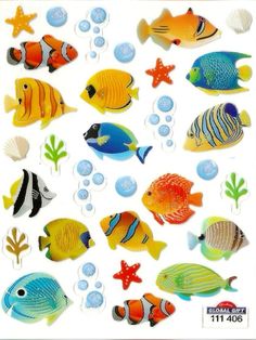 an assortment of different types of fish on a white background with bubbles and bubbles in the water