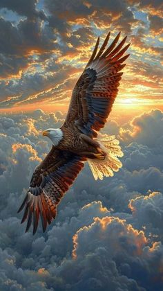 an eagle flying through the sky with clouds