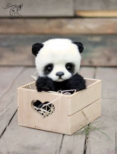 a stuffed panda bear sitting in a wooden box