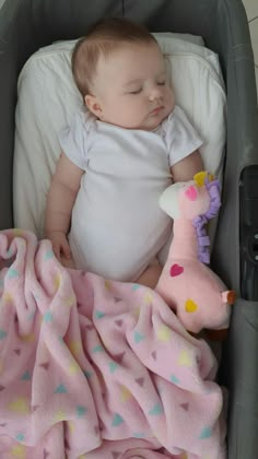 a baby laying in a stroller with a stuffed animal