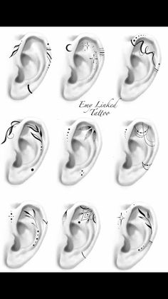 an image of different types of ear piercings