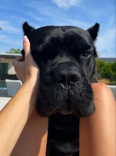 a black dog is being held by a woman's arm in front of the camera