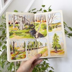 a hand holding an open book with pictures of trees