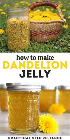 how to make dandelion jelly tastes like spring in a jar