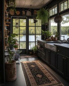 a kitchen with lots of plants in the window sill and rug on the floor